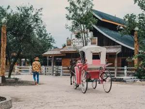 Amphawa Horse Farm
