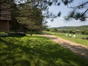 Cozy Cabin in the Woods near Wildcat State Park, Kickapoo River, & bike trail!