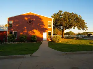 Lone Star Lodge and Marina