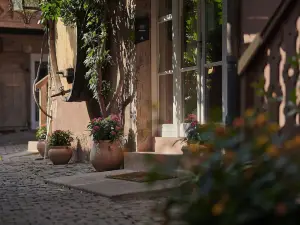 Pêche de Vigne & Spa