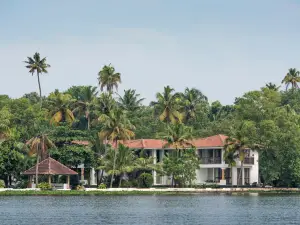 Purity at Lake Vembanad