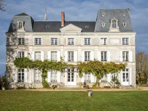 Chambres d'Hotes Château de la Puisaye