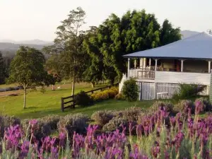 Dayboro - Blue Ridge Lavender Cottage