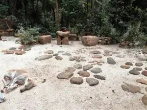 Gallene Gala Nature Resort