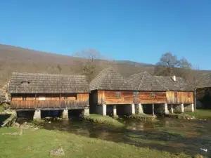 Apartmani "Marina"