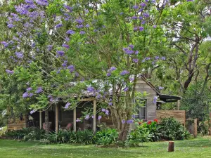 The Laurels of Chinchilla