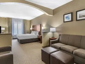 Comfort Inn & Suites St Louis-O'Fallon