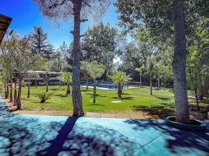 Lemon Tree Hostel