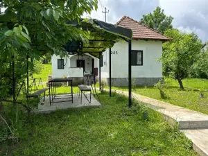 Pridvorul Lui Viorel