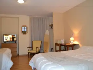 Hotel du Lion Vert