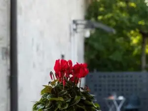Agriturismo Cascina Costa
