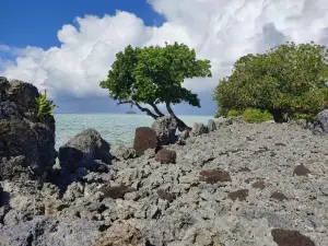 RAIATEA - Studio Tenape