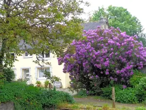 La vallée du Rivoal