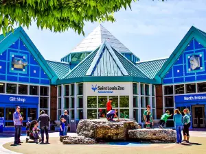 Americas Best Value Inn-St. Louis / South