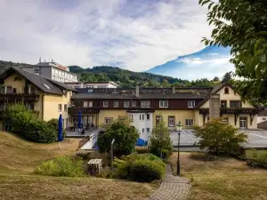 Hotel Grüner Baum