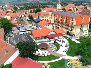 Hotel Leul de Aur