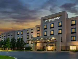 SpringHill Suites Detroit Auburn Hills