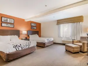 Sleep Inn & Suites