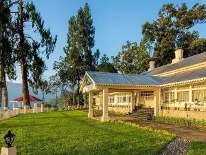 Ging Tea House