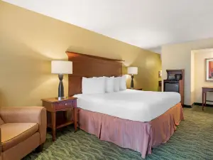 Best Western McAllen Medical Center