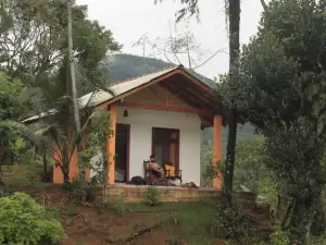 Forest & Fields - Sinharaja