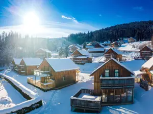 Majestic chalet with terrace