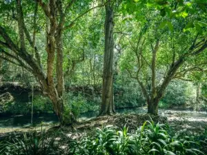 Evermoore Castle Bellingen