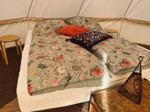 SagaCamp Ehf