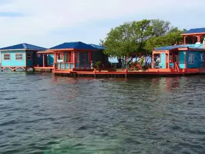 Bird Island Placencia