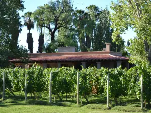 Posada Verde Oliva