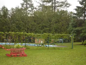 Auberge Alpine Inn
