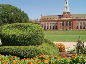 ฮิดเดน มีโดว์ส บีแอนด์บี