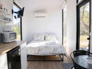 Shady Creek by Tiny Away