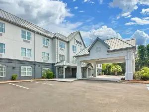 Spark by Hilton Sumter