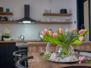 Dream Apartment Vršac