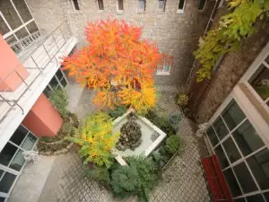 Hotel Termal