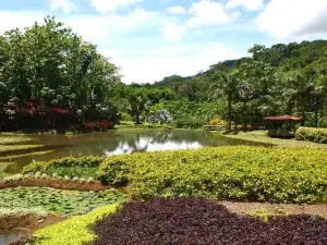 Macaw Lodge