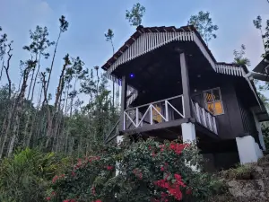 Jungle Greens Homestay