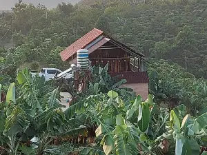 Thông Farmstay Loc Duc