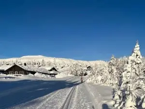 Koselig Hytte Ved Skiheis, Langrennspor, Akebakke og Har 4 Soverom, 2 Bad, Badstue og Fiber bredbånd