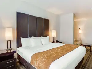 Comfort Suites Mandeville - Covington