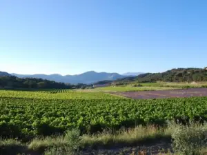 Domaine de Provensol