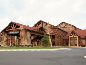 Great Wolf Lodge Mason