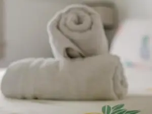 New - Pineapple Loft - Entire House Downtown Hilo with AC