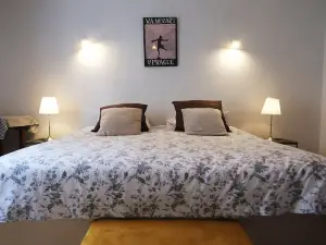 Les Oiseaux de Passage