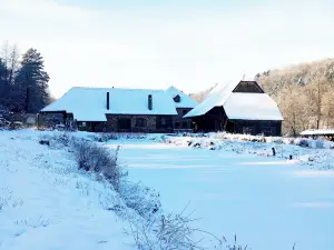 Maison d'hôtes de Charme - Ancien Moulin en Pleine Nature - la Paulusmühle