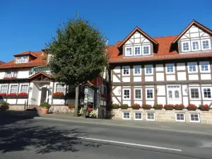 斯特恩 GmbH & Co. KG 公園酒店