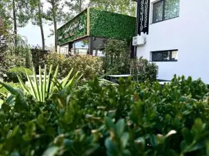 Renato House