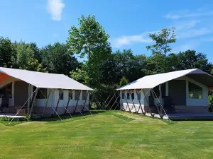 Lodge in Twijzel for 8 Person
