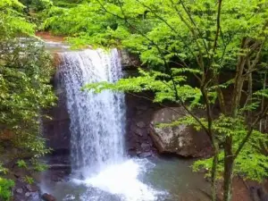 Stay in Ohiopyle Near the Gap Trail - Ohiopyle, PA